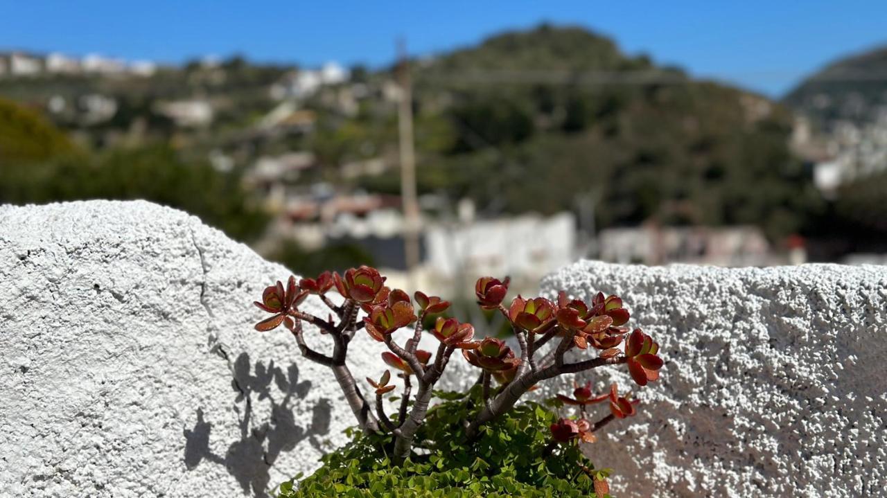 Villa La Milanina Lipari  Dış mekan fotoğraf