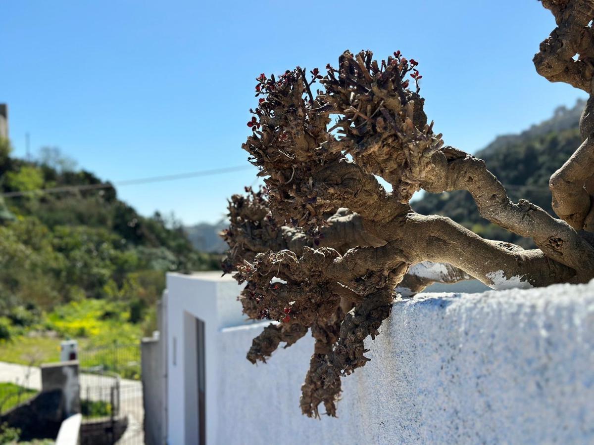 Villa La Milanina Lipari  Dış mekan fotoğraf
