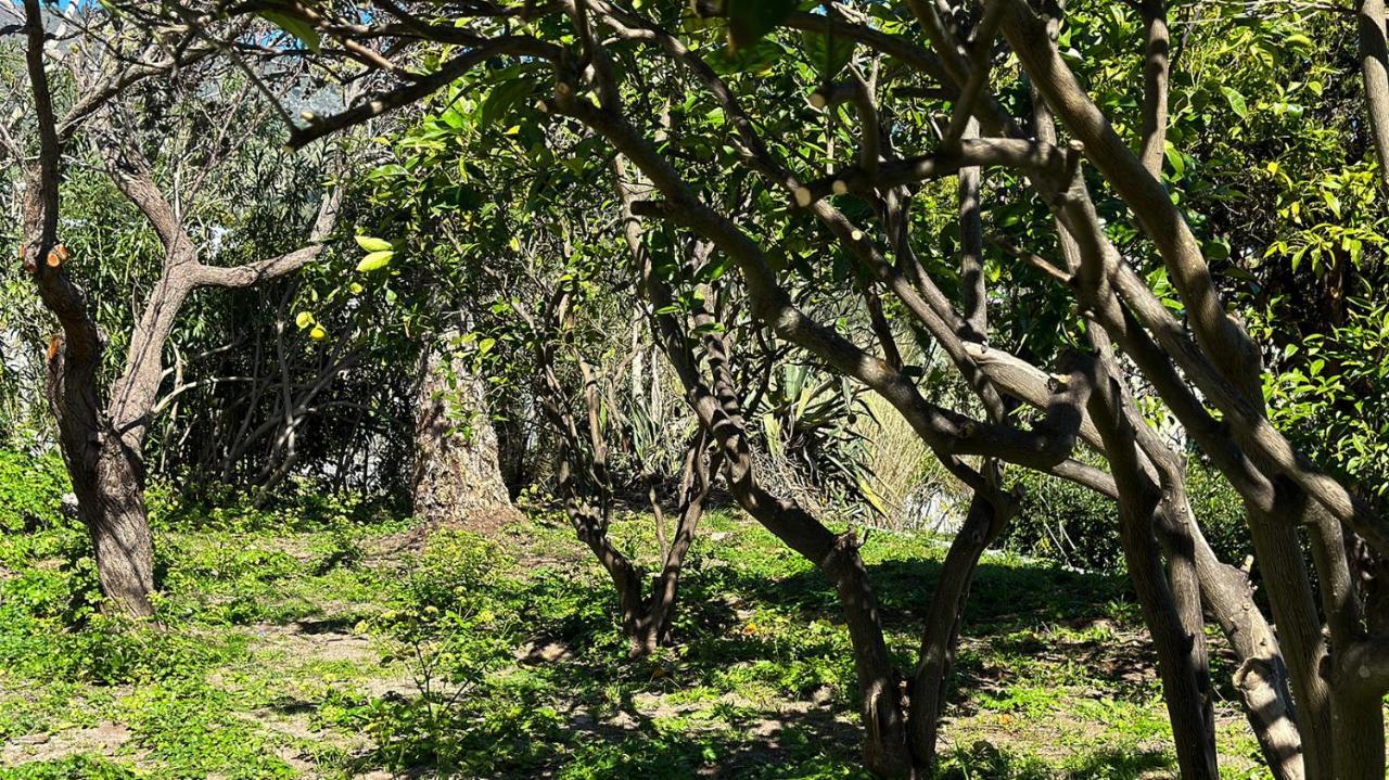 Villa La Milanina Lipari  Dış mekan fotoğraf